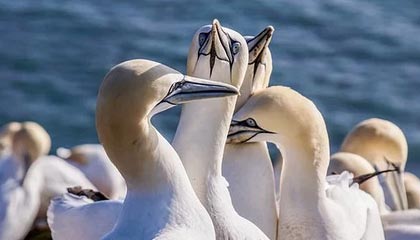 日喀则2026年最新北京商务伴游经纪招聘渠道分享(最方便真实的日喀则北京爱特博旅运服务有限责任公司招聘方法)