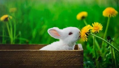 日喀则2026年最新北京商务伴游经纪招聘渠道分享(最方便真实的日喀则北京爱特博旅运服务有限责任公司招聘方法)